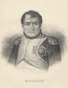 Napoleon 2nd portrait